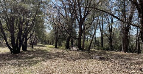 Parcel B Armstrong Rd, Sheep Ranch, CA 95250 Photo