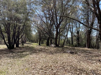 Parcel B Armstrong Rd, Sheep Ranch, CA 95250 Photo