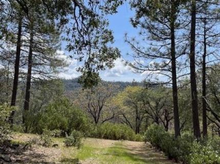Parcel B Armstrong Rd, Sheep Ranch, CA 95250 Photo