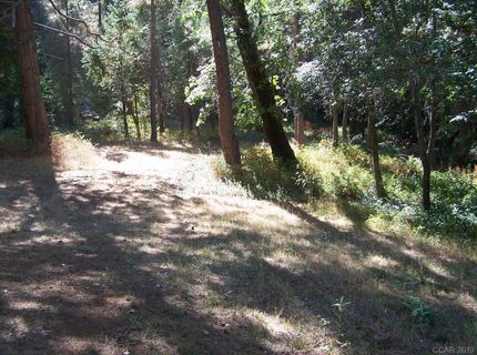 Parcel B Armstrong Rd, Sheep Ranch, CA 95250 Photo