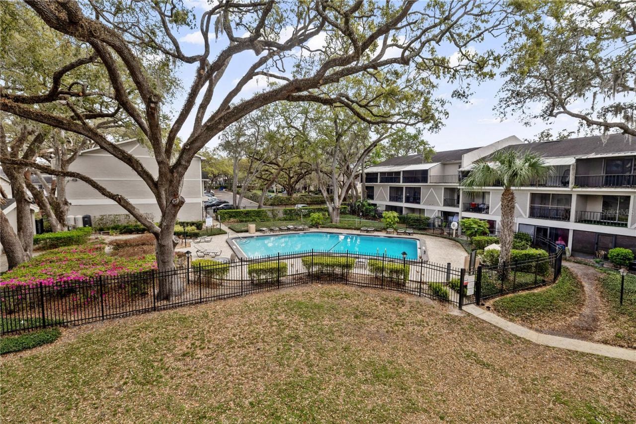 14414 Reuter Strasse Circle, Unit 212, Tampa, FL 33613 Photo