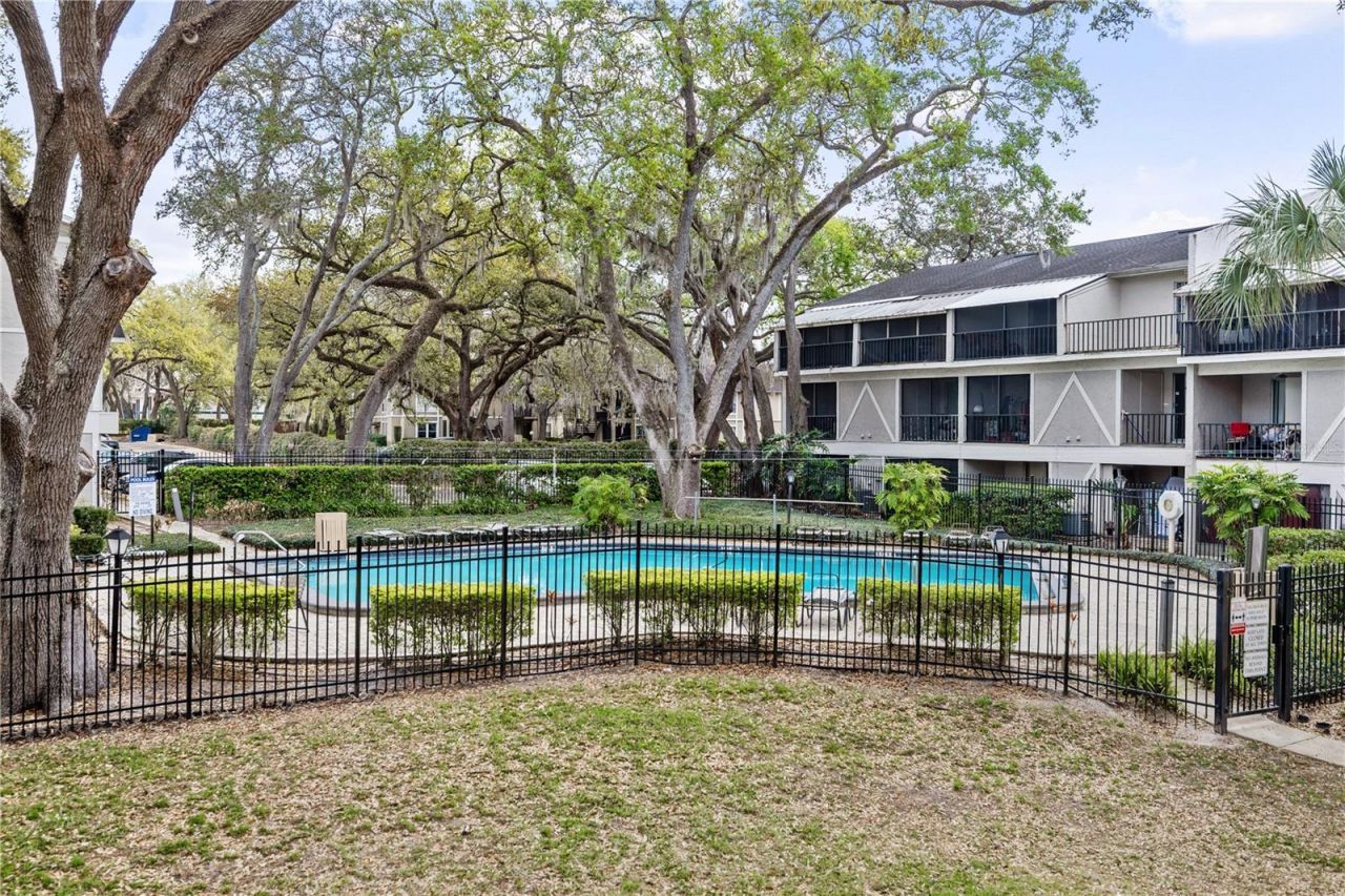 14414 Reuter Strasse Circle, Unit 212, Tampa, FL 33613 Photo