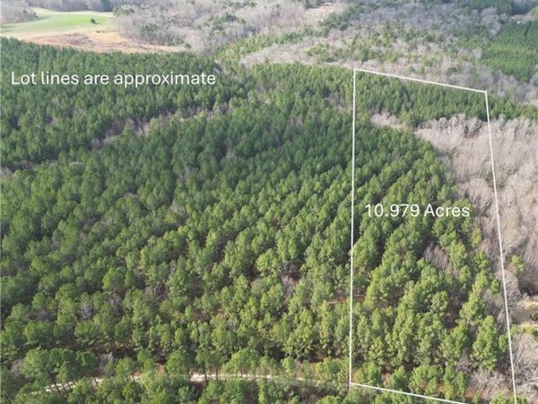 Lot 8 Thompson Road , Seagrove, NC 27341