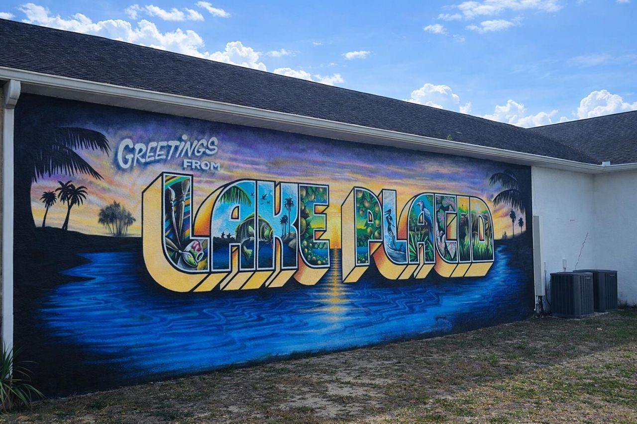 703 Chelsee Way, Lake Placid, FL 33852 Photo