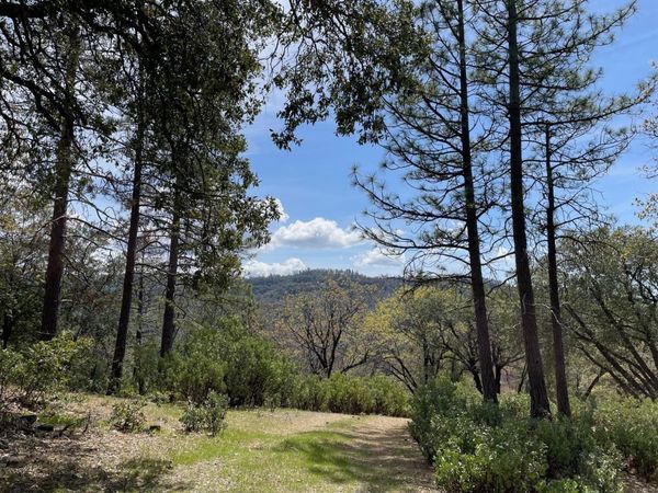 Armstrong Rd, Sheep Ranch, CA 95246