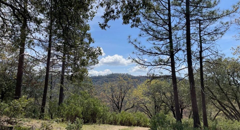Armstrong Rd, Sheep Ranch, CA 95246 Photo
