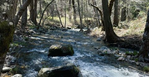 Armstrong Rd, Sheep Ranch, CA 95246 Photo