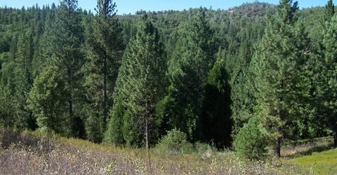 Armstrong Rd, Sheep Ranch, CA 95246 Photo