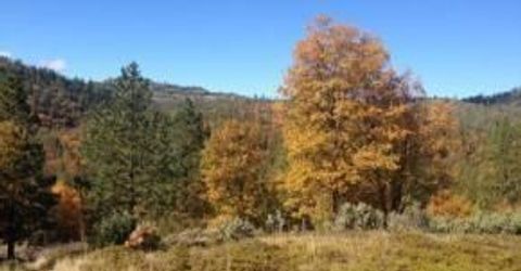 Armstrong Rd, Sheep Ranch, CA 95246 Photo