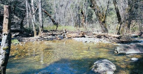 Armstrong Rd, Sheep Ranch, CA 95246 Photo