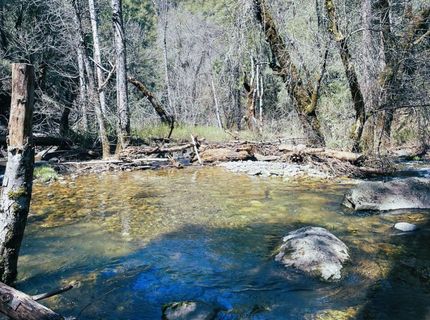 Armstrong Rd, Sheep Ranch, CA 95246 Photo