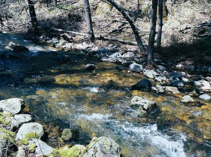 Armstrong Rd, Sheep Ranch, CA 95246 Photo
