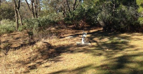 Armstrong Rd, Sheep Ranch, CA 95246 Photo