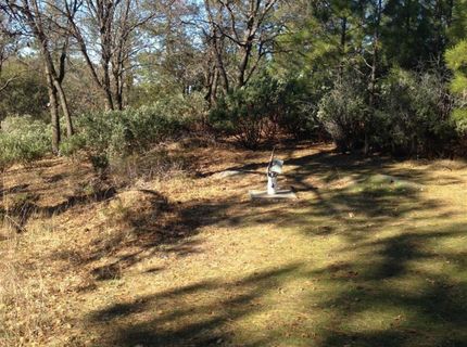 Armstrong Rd, Sheep Ranch, CA 95246 Photo