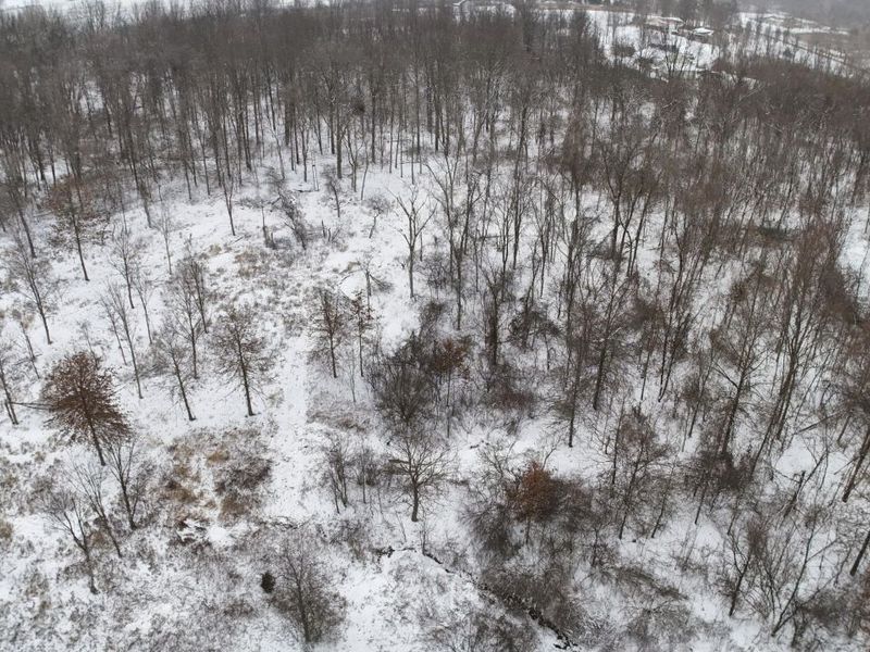 0 State Route 229, Marengo, OH 43334 Photo 6