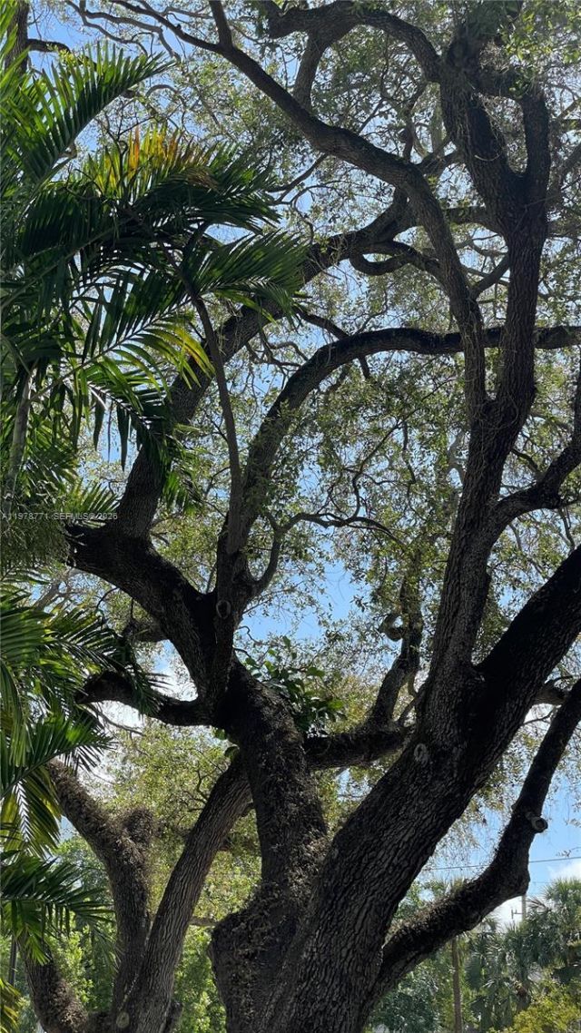 650 NE 64th St , Unit G309, Miami, FL 33138 Photo