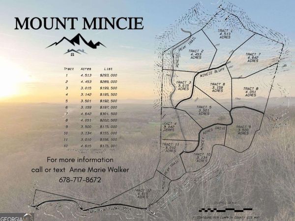 LOT 9 Mount Mincie Road, Murrayville, GA 30564