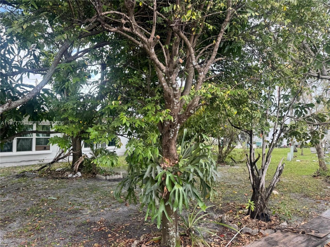 4933 NW 42nd St , Lauderdale Lakes, FL 33319 Photo