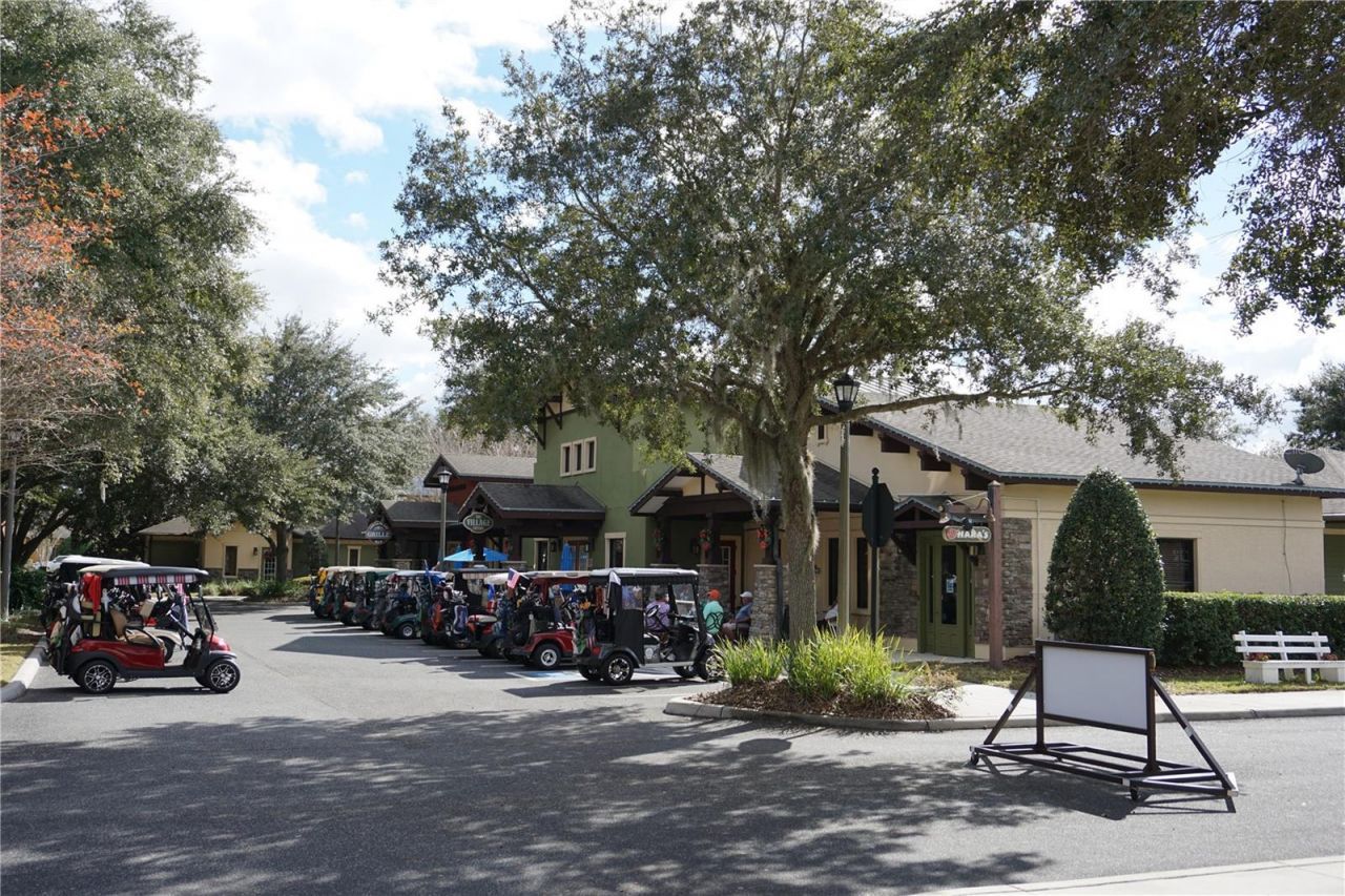 3749 Arlington Ridge Boulevard, Leesburg, FL 34748 Photo