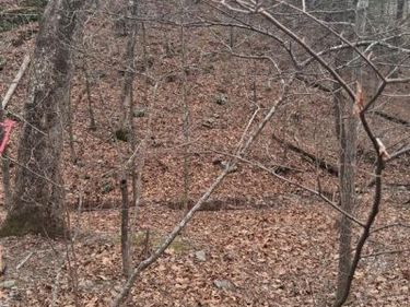 VESEY DRIVE , FRONT ROYAL, VA 22630