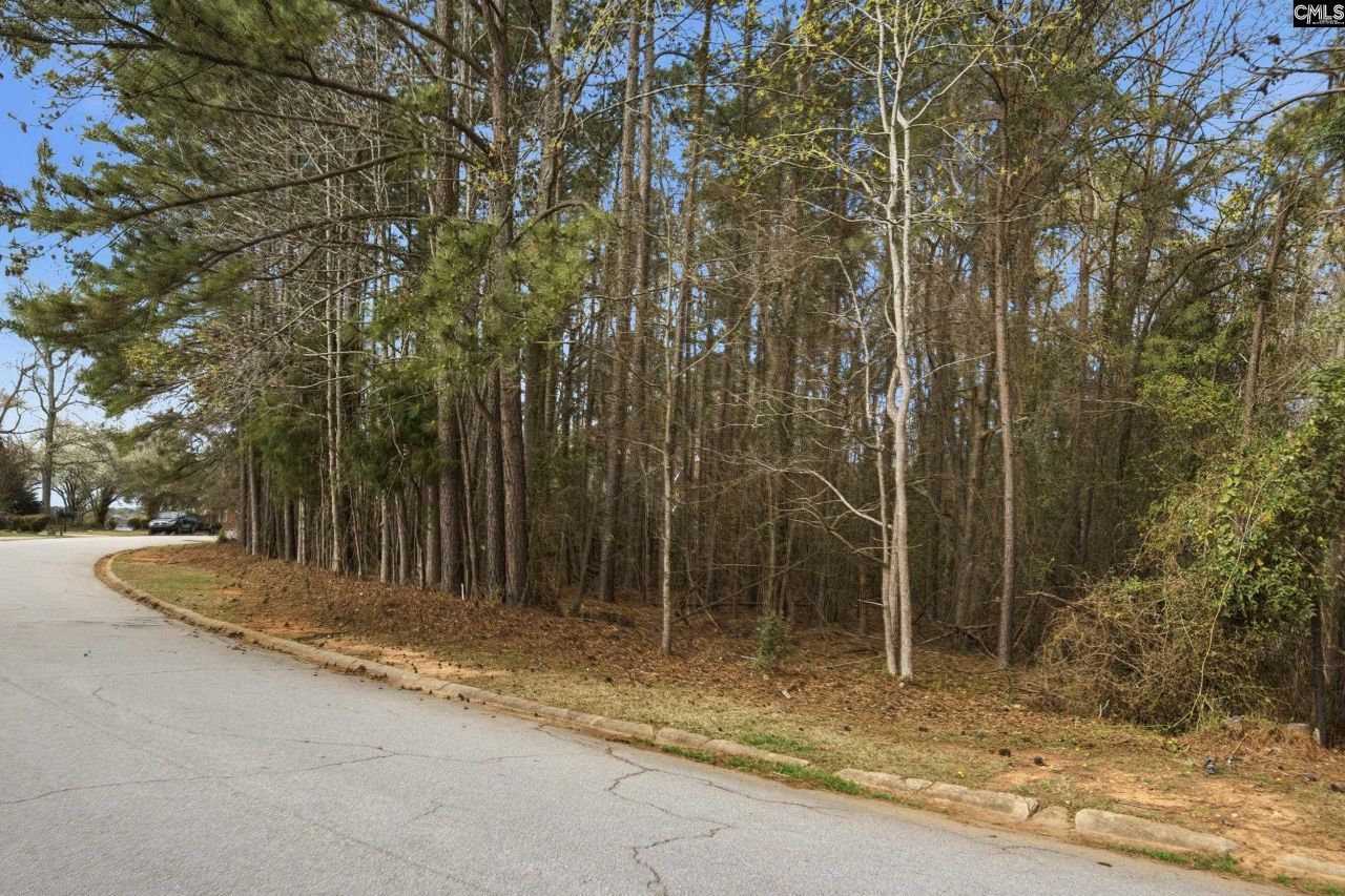 Middleton Place Photo 17