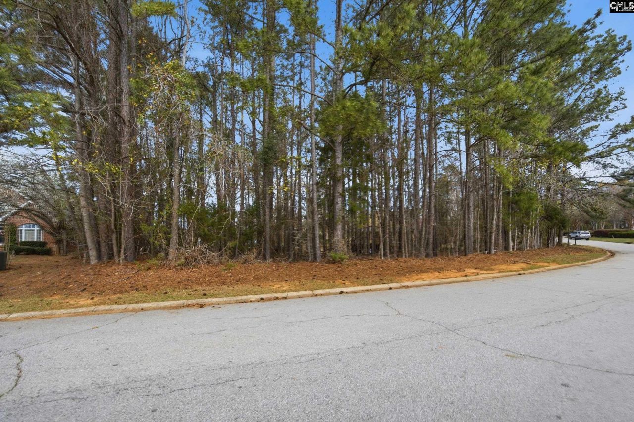 Middleton Place Photo 18