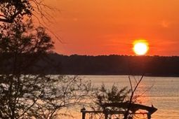 Middleton Place photo 4