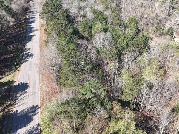 TBD Gillham Lake Road, Gillham, AR 79841
