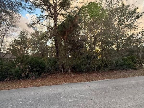 8 MANGROVE COURT N, HOMOSASSA, FL 34446