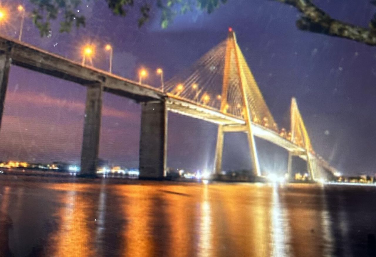 267 Alexandra Drive Photo 19