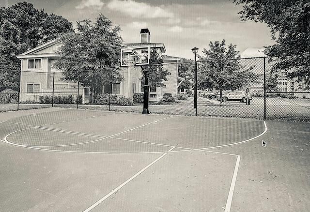 267 Alexandra Drive Photo 21