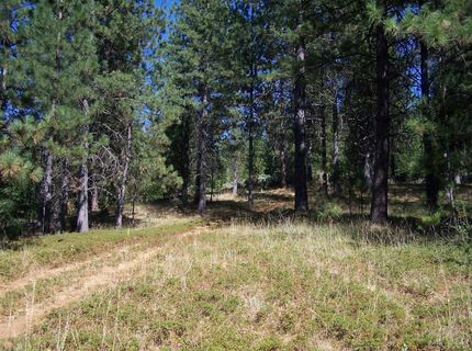 Parcel A  Armstrong Rd, Sheep Ranch, CA 95250 Photo