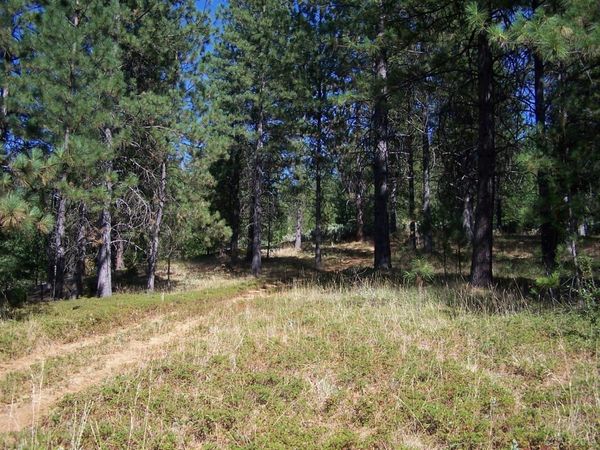Parcel A  Armstrong Rd, Sheep Ranch, CA 95250