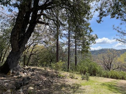 Parcel A  Armstrong Rd, Sheep Ranch, CA 95250 Photo