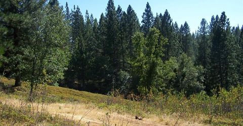 Parcel A  Armstrong Rd, Sheep Ranch, CA 95250 Photo
