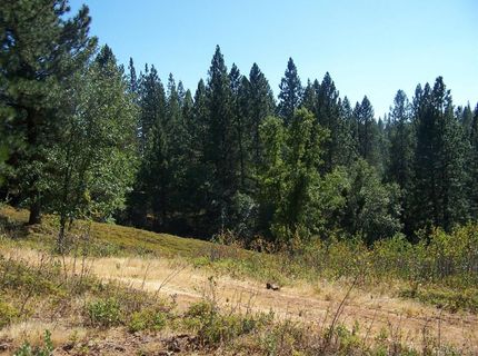Parcel A  Armstrong Rd, Sheep Ranch, CA 95250 Photo