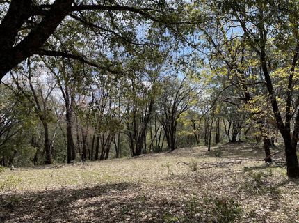 Parcel A  Armstrong Rd, Sheep Ranch, CA 95250 Photo