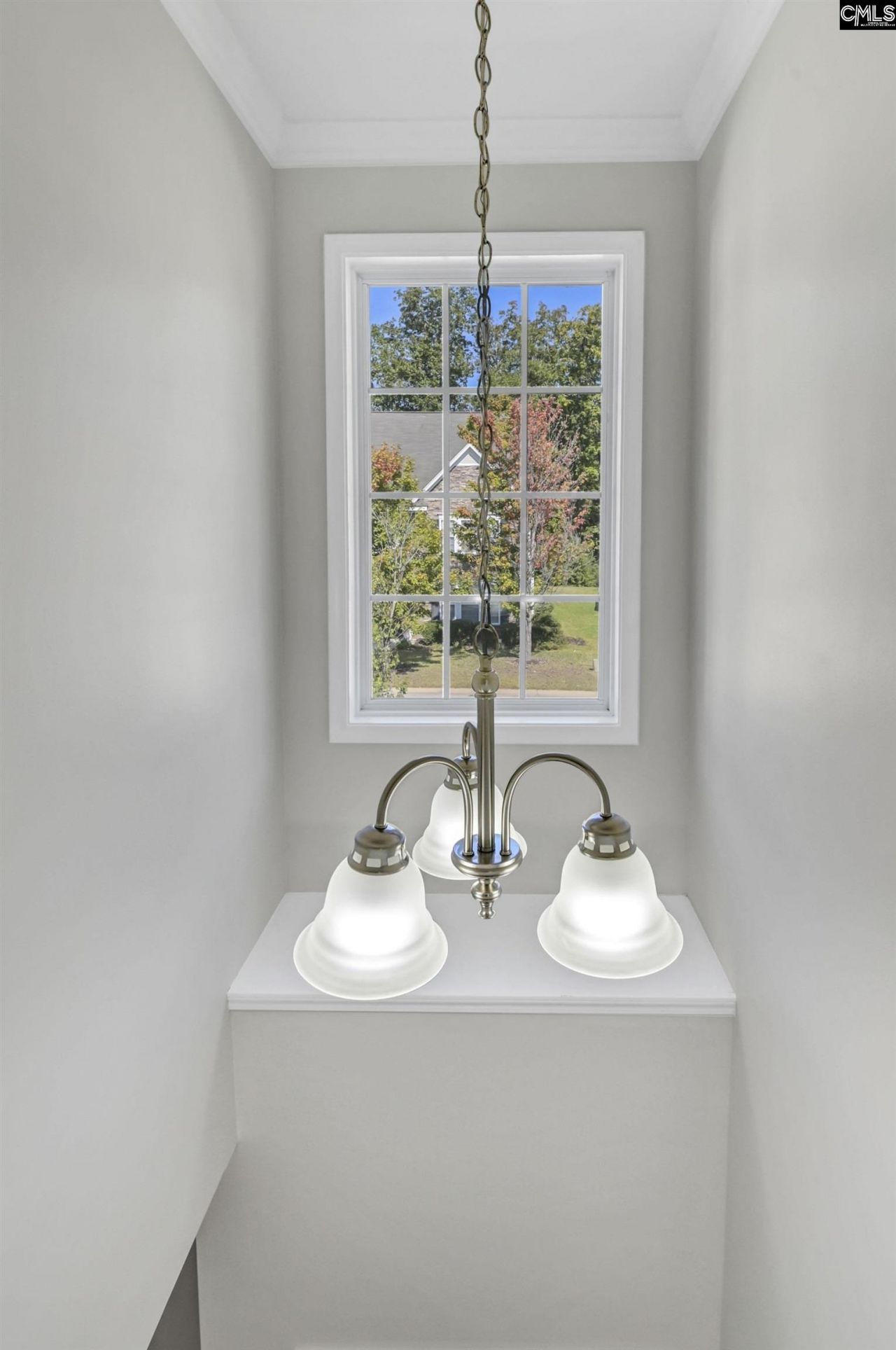 151 Mill House Lane  Photo 18