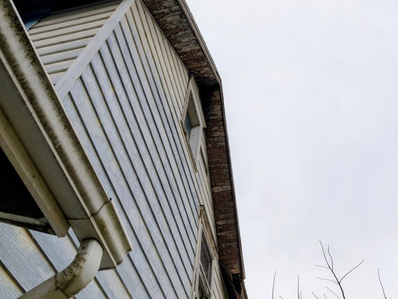 199 Olney Avenue , Marion, OH 43302 Photo 41