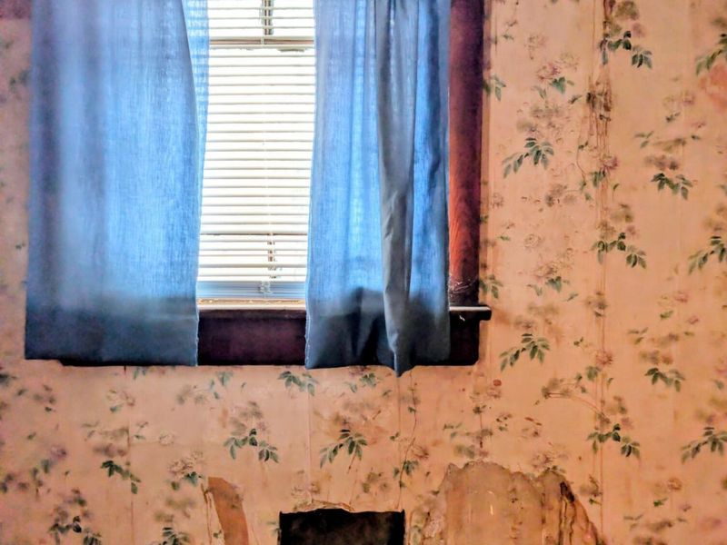 199 Olney Avenue , Marion, OH 43302 Photo 9