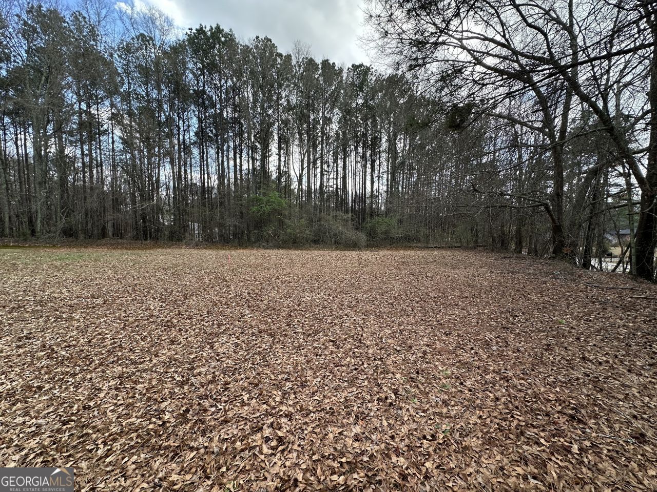 0 Lower Jersey Road- 1.58 Acres, Oxford, GA 30054 Main Photo