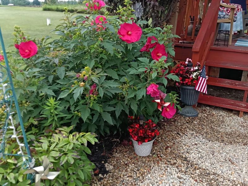 7880 E State Route 29 , Mechanicsburg, OH 43044 Photo 40