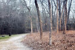 611 Finch Court  photo 4