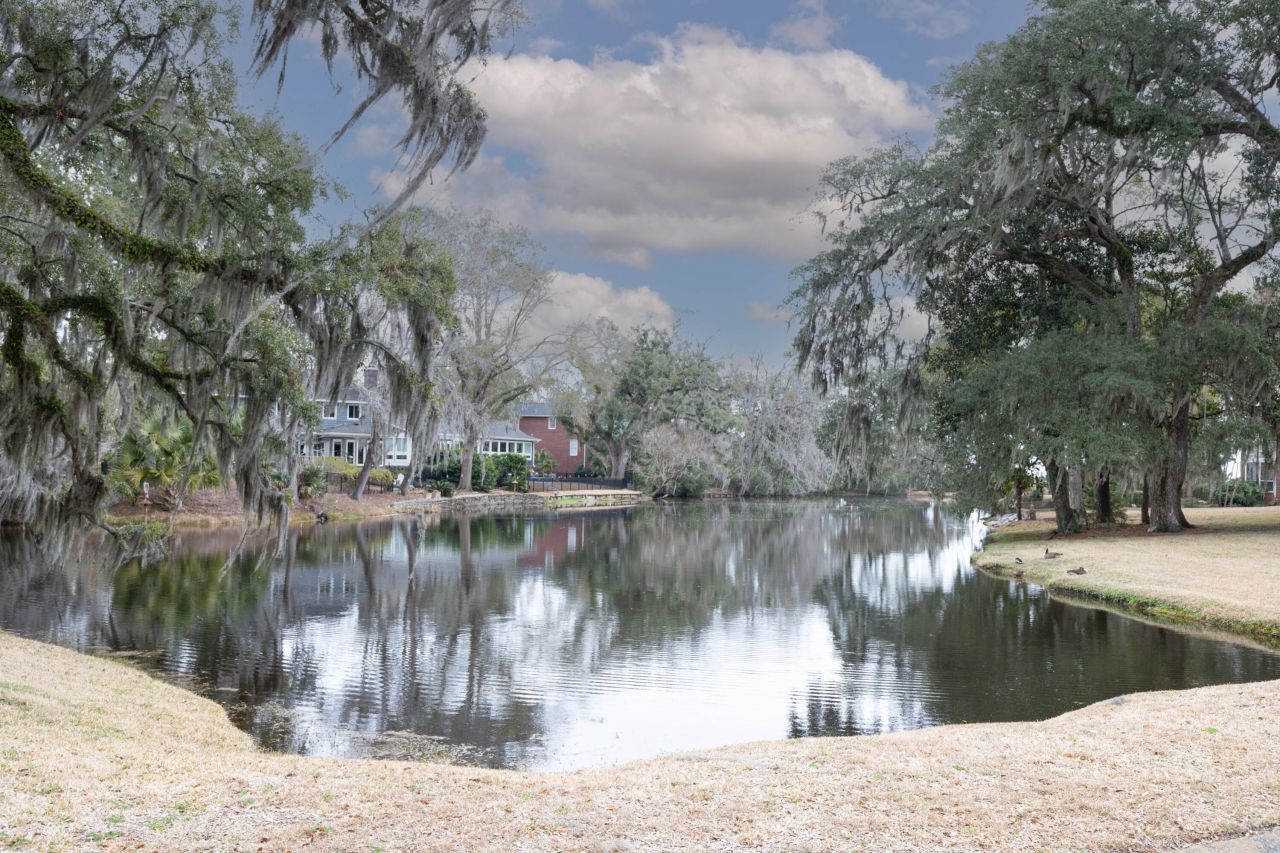 2445 Vaucluse Road Photo 38