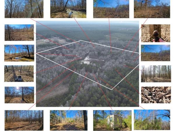 463 McGee, Starkville, MS 39759