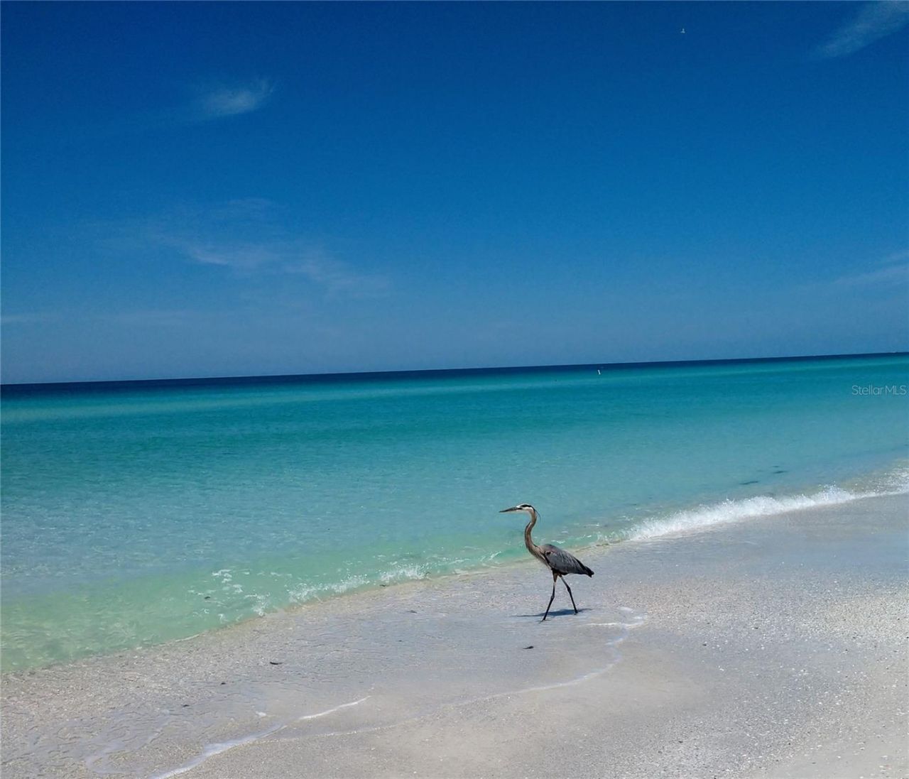 3740 Pinebrook Circle, Unit 603, Bradenton, FL 34209 Photo