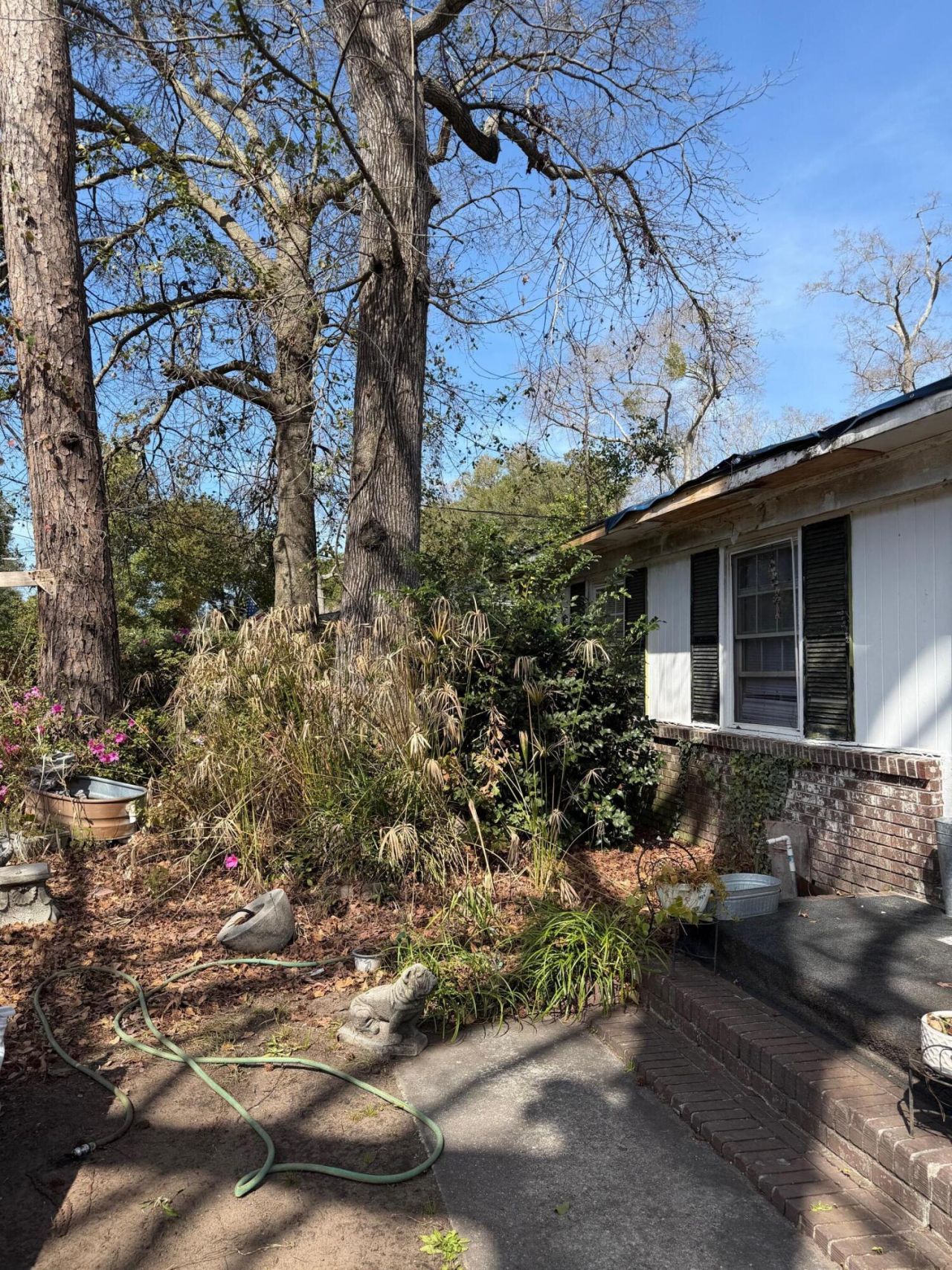 1166 N Shadow Photo 3