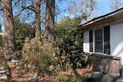 1166 N Shadow photo 4