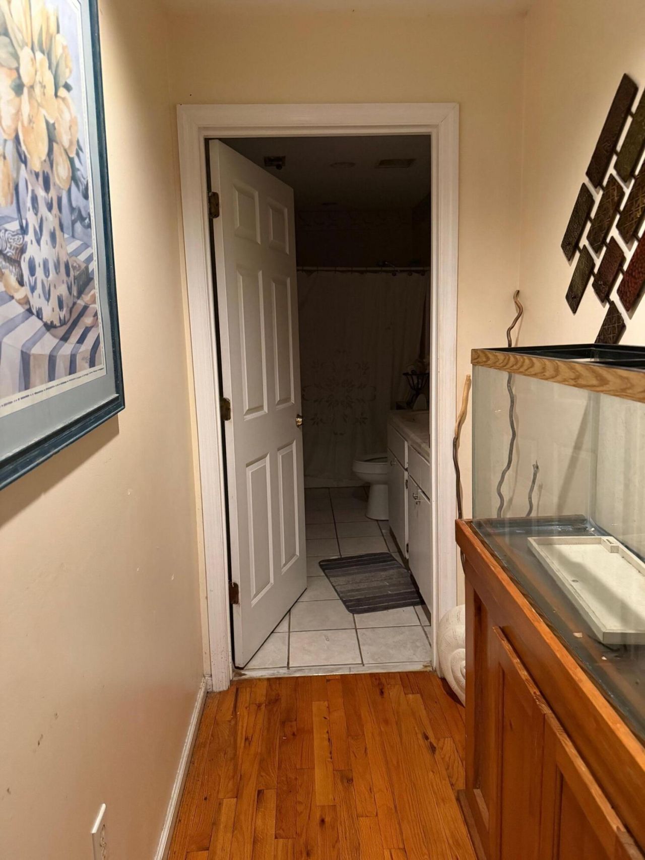 1166 N Shadow Photo 7