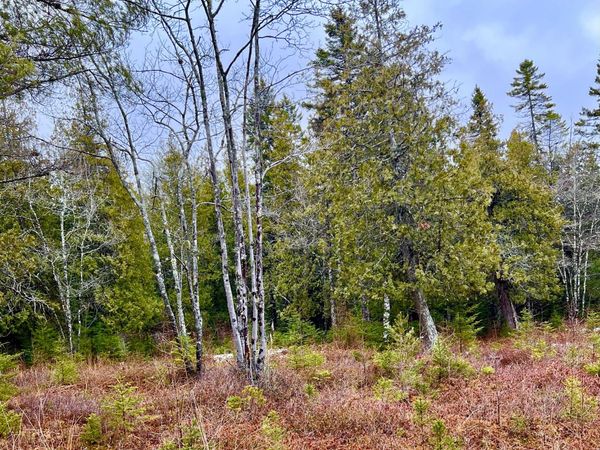 Lot 77-A Long Hill Road , Southwest Harbor, ME 04679